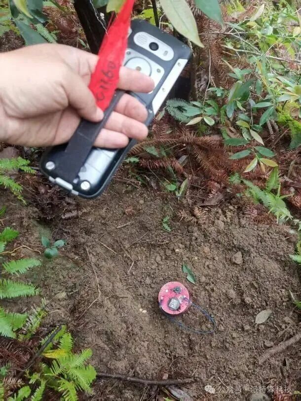 精准探矿，赋能储能！派特森地震频率谐振技术助力浙江省钼矿资源勘探升级